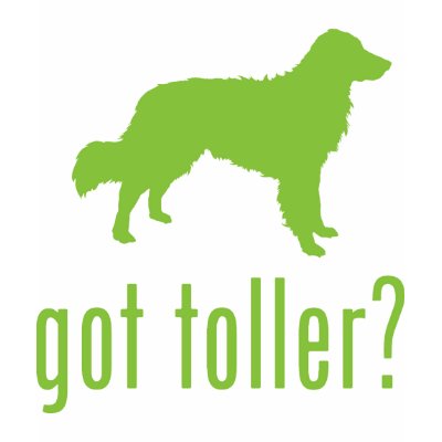 Nova Scotia Duck Tolling Retriever T-shirts by Pawdboy