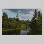 Nova Scotia Wetlands fine art print