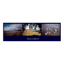 Novato, California posters