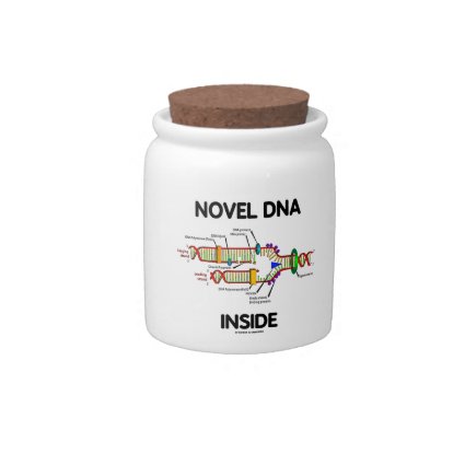 Novel DNA Inside (Molecular Biology Humor) Candy Dish