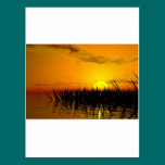 Novel TIC seashore postcards