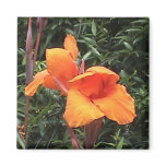 Novelty Canna Magnet