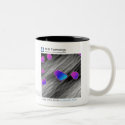 November 2006 - RHK Technology: Image of the Month mugs