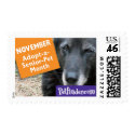 NOVEMBER - Adopt-a-Senior Pet month postage