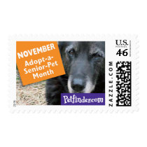 NOVEMBER - Adopt-a-Senior Pet month postage by petfinder NOVEMBER - Adopt-a-Senior Pet month postage