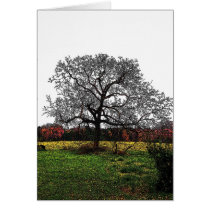 November cards