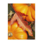 November Design Postcard