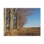 November Field I Post Cards