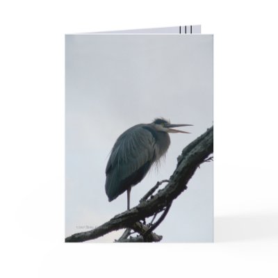 November Great Blue Cards by MoiraAshleigh