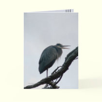 November Great Blue cards by MoiraAshleigh November Great Blue cards