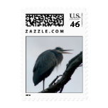 November Great Blue postage
