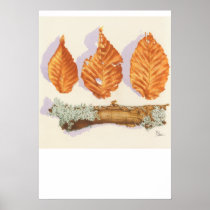 NOVEMBER ON THE EDGE OF APPLETON FARM Poster
