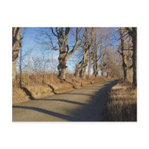 November Road Post Card