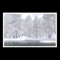 November Snow posters