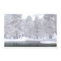 November Snow posters by digitalblasphemy November Snow posters