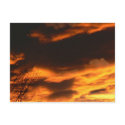 November Sunset postcards
