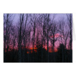 November Trees, Krishnamurti Quote cards