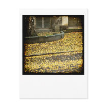 November Tristesse postcards by FelicitasArt November Tristesse postcards