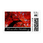 November Wedding