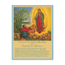 Novena for Prosperity and Abundance postcards