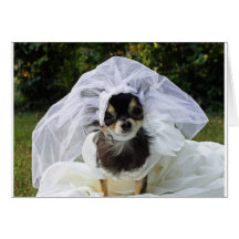 Novia de la chihuahua del boda felicitacion 