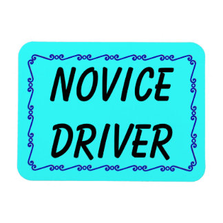 New Driver Magnets, New Driver Magnet Designs for your Fridge &amp; More