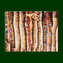 NOVINO Costumes - Enchanting Fabric Patterns postcards by doonagiri NOVINO Costumes - Enchanting Fabric Patterns postcards