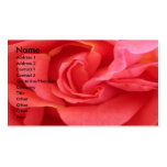 NOVINO - Erotic Red Rose Business Cards