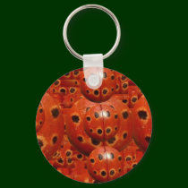 NOVINO Lady Bug Wants a Hug keychains by doonagiri NOVINO Lady Bug Wants a Hug keychains