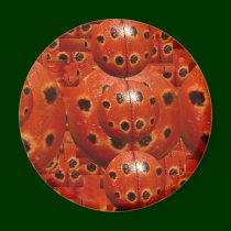 NOVINO Lady Bug Wants a Hug magnets by doonagiri NOVINO Lady Bug Wants a Hug magnets