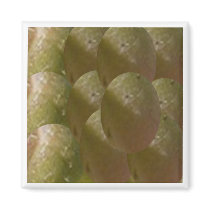 NOVINO Nature Bountiful - Enjoy n Share the Joy Magnets