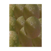 NOVINO Nature Bountiful - Enjoy n Share the Joy Postcards