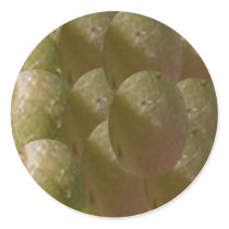 NOVINO Nature Bountiful - Enjoy n Share the Joy Stickers