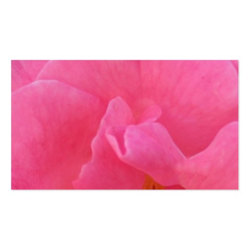 NOVINO - Sensual Pink Petal 3 Business Card (back side)