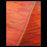 NOVINO Shades of Gold - Leaf Texture flyers