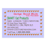 NOVINO Smart Cat  Presentation Business Cards