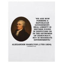 Now Forming A Republican Government Real Liberty Flyers