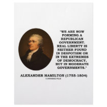 Now Forming A Republican Government Real Liberty