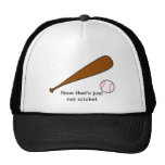 Now that's just not cricket Hat