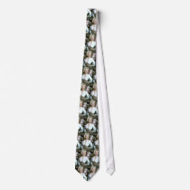 NOW THIS IS A TIE..