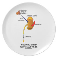 Now You Know Why I Have To Go (Diuresis) Dinner Plate