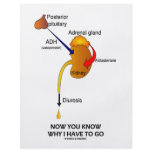 Now You Know Why I Have To Go (Diuresis) Flyer