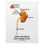Now You Know Why I Have To Go (Diuresis) Personalized Letterhead