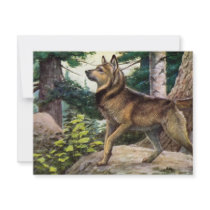 Nowegian elkhound invitations by biologybase Nowegian elkhound invitations