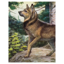 Nowegian elkhound letterhead by biologybase Nowegian elkhound letterhead