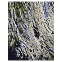 nterey Cypress Bark Custom Flyer