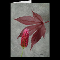 nuances du rouge cards