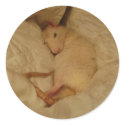 nubby sleeping stickers by Rsungodess nubby sleeping stickers