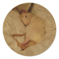 nubby sleeping stickers by Rsungodess nubby sleeping stickers