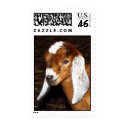 Nubian Buckling postage